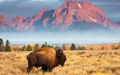 vé máy bay đi Wyoming